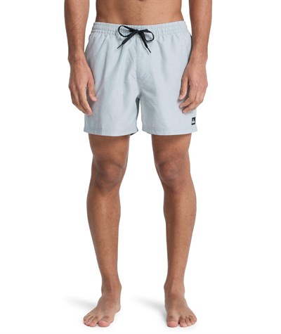 Quiksilver EVERYDAY 15 Erkek Şort EQYJV04120-QK.3082