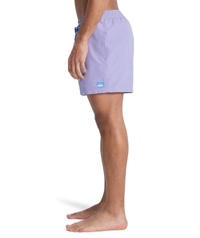 Quiksilver EVERYDAY 15 Erkek Şort EQYJV04120-QK.PKS0