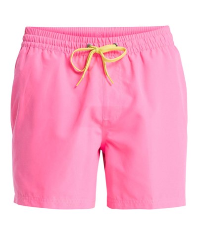 Quiksilver EVERYDAY 15 Erkek Şort EQYJV04120-QK.MJB0