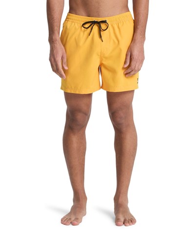 Quiksilver EVERYDAY 15 Erkek Şort EQYJV04120-QK.3091