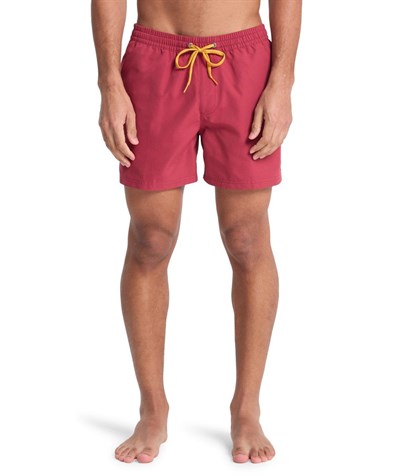 Quiksilver EVERYDAY 15 Erkek Şort EQYJV04120-QK.RQZ0