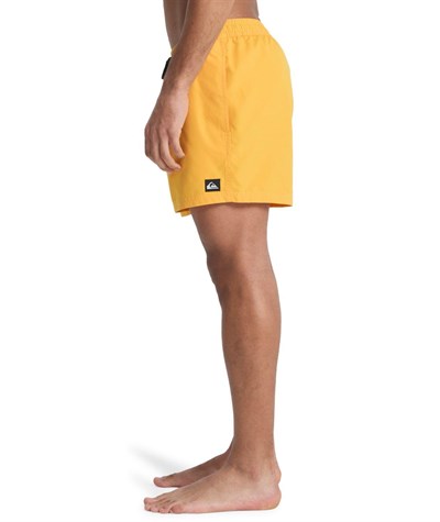 Quiksilver EVERYDAY 15 Erkek Şort EQYJV04120-QK.3091