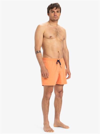Quiksilver EVERYDAY SOLID VOLLEY 15 Erkek Volley Short EQYJV04120-QK.802
