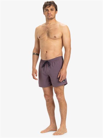 Quiksilver EVERYDAY SOLID VOLLEY 15 Erkek Volley Short EQYJV04120-QK.PQC0