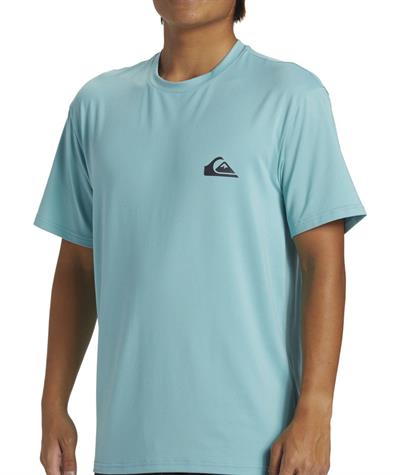 Quıksılver EVERYDAY SURF TEE SS Erkek T-shirt AQYWR03135-QK.BHA0