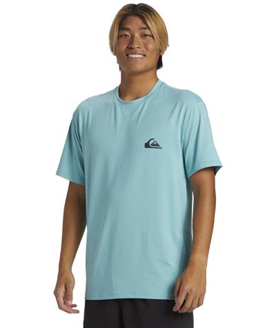 Quıksılver EVERYDAY SURF TEE SS Erkek T-shirt AQYWR03135-QK.BHA0