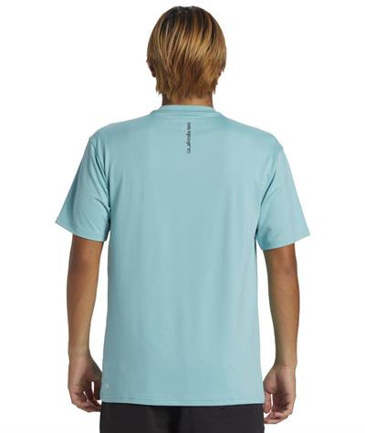 Quıksılver EVERYDAY SURF TEE SS Erkek T-shirt AQYWR03135-QK.BHA0