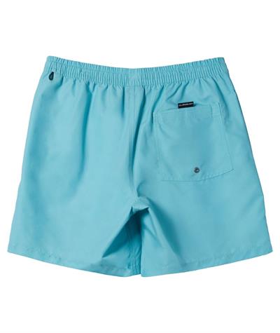 Quıksılver EVERYDAY VERT VOLLEY 16 Erkek Şort AQYJV03139-QK.BHA0