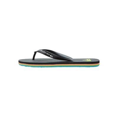 Quiksilver MOLOKAI CORE Erkek Terlik  AQYL101325-QK.KVJ2
