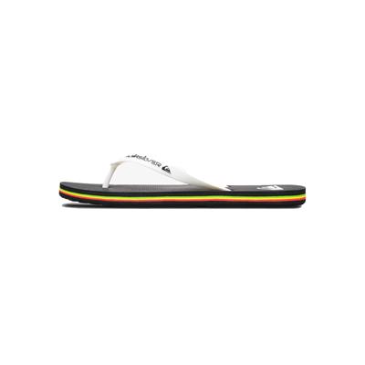 Quiksilver MOLOKAI CORE Erkek Terlik AQYL101325