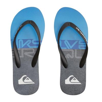 Quiksilver MOLOKAI WORDBLOCK Erkek Terlik  AQYL101287-QK.XKBS