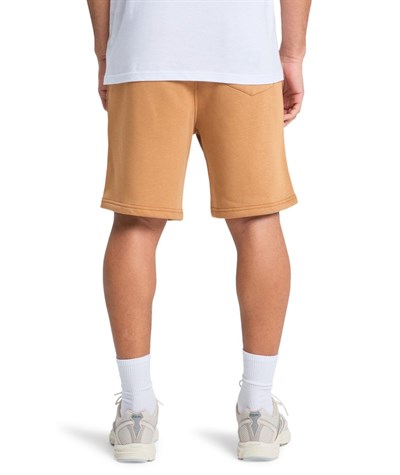 Quiksilver SALT WATER SHOR Erkek Şort EQYFB03392-QK.3106