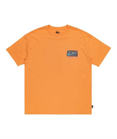 Quıksılver SPIN CYCLE SS Erkek T-shirt EQYZT07653-QK.25178