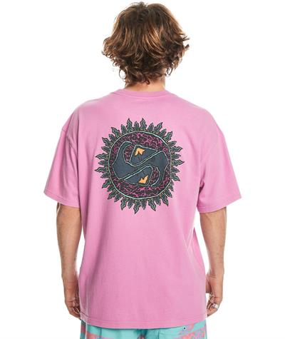 Quıksılver SPIN CYCLE SS Erkek T-shirt EQYZT07653-QK.PMP0