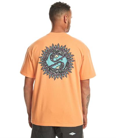 Quıksılver SPIN CYCLE SS Erkek T-shirt EQYZT07653-QK.25178
