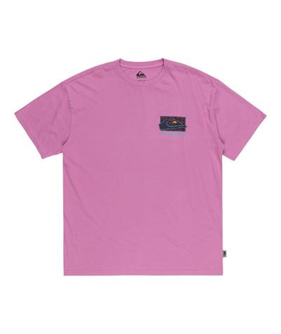 Quıksılver SPIN CYCLE SS Erkek T-shirt EQYZT07653-QK.PMP0