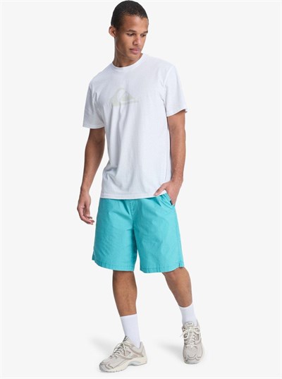 Quiksilver TAXERWS Erkek Şort EQYWS03915-QK.BJK0