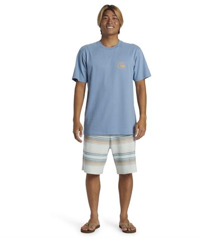 Quıksılver THE ORIGINAL BOARDSHORT MOR Erkek T-shirt AQYZT09560-QK.18406
