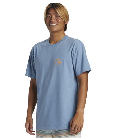 Quıksılver THE ORIGINAL BOARDSHORT MOR Erkek T-shirt AQYZT09560-QK.18406