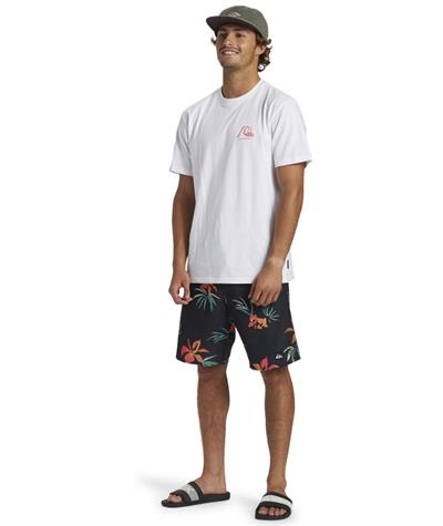 Quıksılver THE ORIGINAL BOARDSHORT MOR Erkek T-shirt AQYZT09560-QK.10