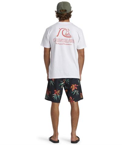 Quıksılver THE ORIGINAL BOARDSHORT MOR Erkek T-shirt AQYZT09560-QK.10