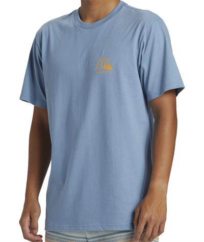 Quıksılver THE ORIGINAL BOARDSHORT MOR Erkek T-shirt AQYZT09560-QK.18406