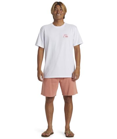 Quıksılver THE ORIGINAL BOARDSHORT MOR Erkek T-shirt AQYZT09560-QK.10