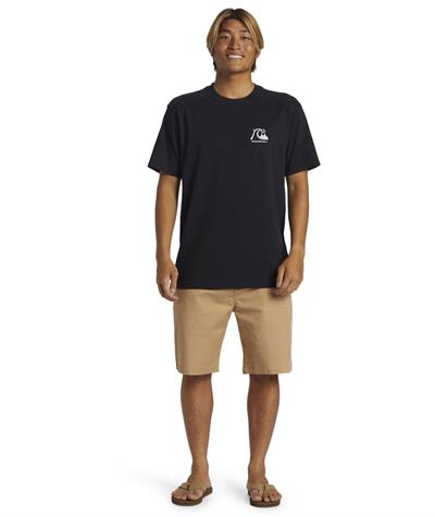 Quıksılver THE ORIGINAL BOARDSHORT MOR Erkek T-shirt AQYZT09560-QK.10010