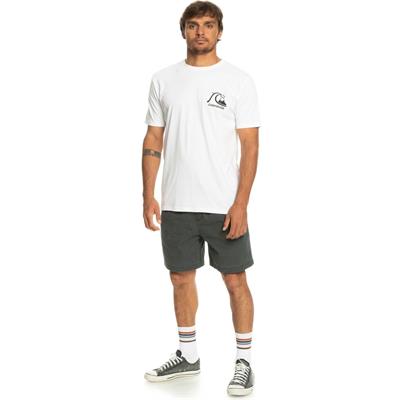 Quıksılver THEORIGINALTEE M TEES Erkek T-shırt EQYZT07239-WBB0