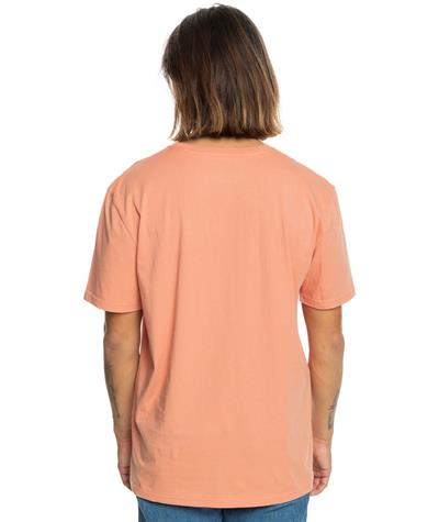 Quıksılver TRADESMITH SS Erkek T-shirt EQYZT07659-QK.MJR0