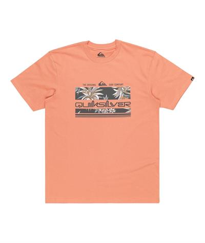 Quıksılver TROPICAL RAINBOW SS Erkek T-shirt EQYZT07679-QK.MJR0
