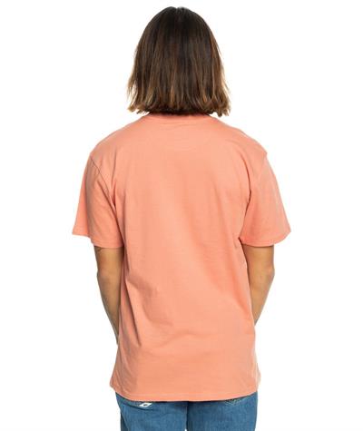 Quıksılver TROPICAL RAINBOW SS Erkek T-shirt EQYZT07679-QK.MJR0