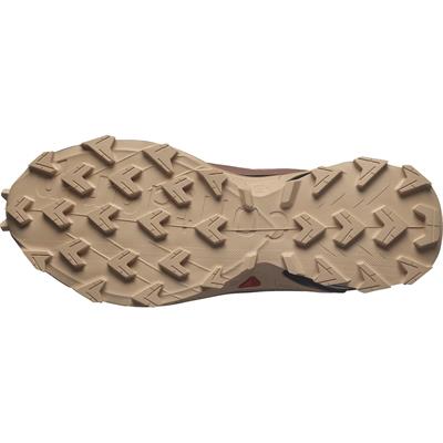 Salomon ALPHACROSS 5 GTX W Kadın Ayakkabı L47595100