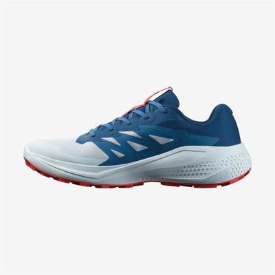 Salomon ALPHAGLIDE Erkek Ayakkabısı L47724300