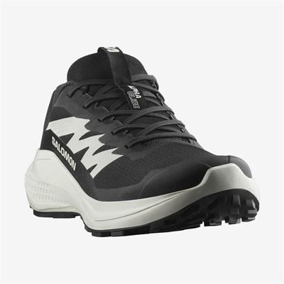 Salomon ALPHAGLIDE Erkek Ayakkabısı L47801000