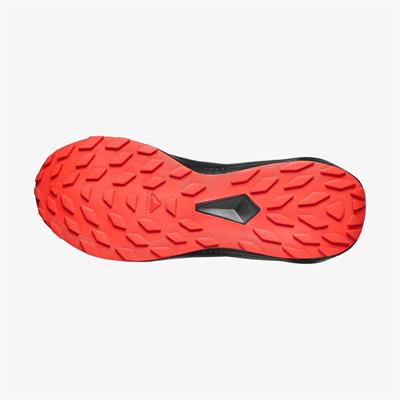 Salomon ALPHAGLIDE Erkek Ayakkabısı L48000800