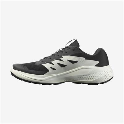 Salomon ALPHAGLIDE Erkek Ayakkabısı L47801000