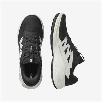 Salomon ALPHAGLIDE Erkek Ayakkabısı L47801000