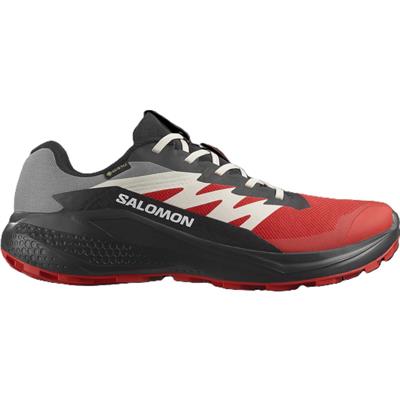 Salomon ALPHAGLIDE GORE-TEX Erkek Ayakkabısı L47975200