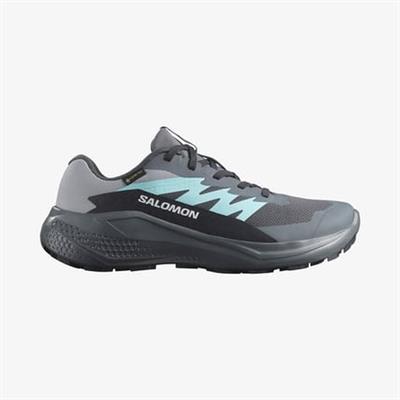 Salomon ALPHAGLIDE GORE-TEX Kadın Ayakkabısı L47802300