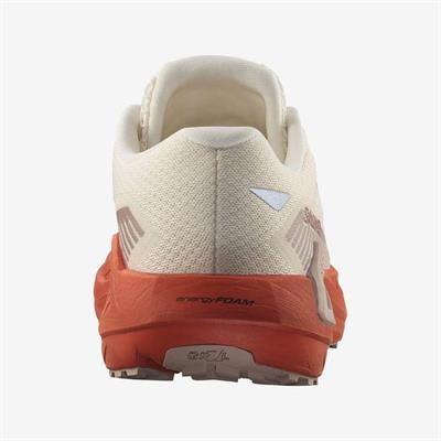 Salomon DRX DEFY GRVL W Kadın Koşu Ayakkabısı L47809500