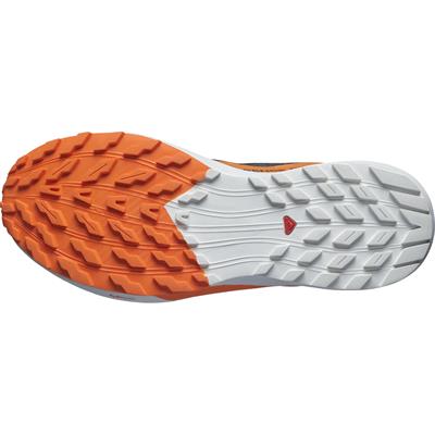 Salomon SENSE RIDE 5 GTX Erkek Koşu Ayakkabı L47459400