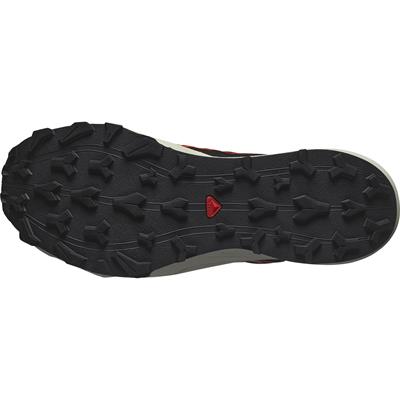 Salomon THUNDERCROSS Erkek Ayakkabı L47684500
