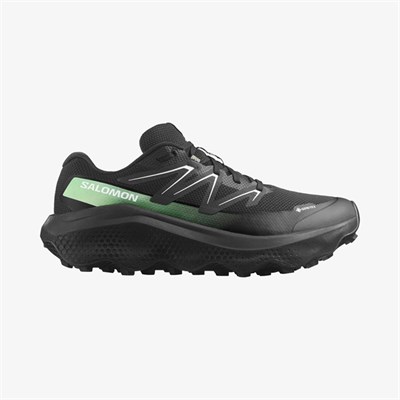 Salomon ULTRA FLOW 2 GTX Erkek Koşu Ayakkabısı L47981400
