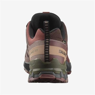 Salomon XA PRO 3D V9 GTX Erkek Ayakkabı L47583500