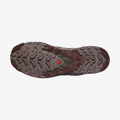 Salomon XA PRO 3D V9 GTX Erkek Ayakkabı L47583500