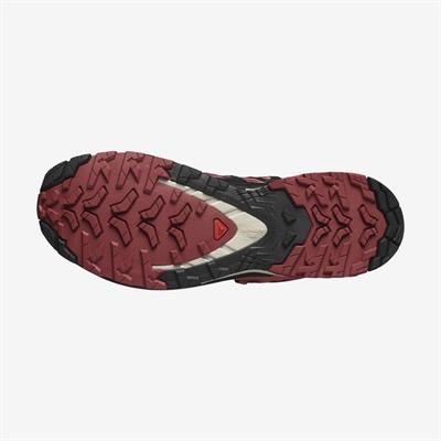 Salomon XA PRO 3D V9 GTX GORETEX Kadın Ayakkabı L47270900
