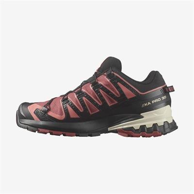 Salomon XA PRO 3D V9 GTX GORETEX Kadın Ayakkabı L47270900