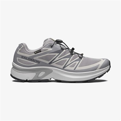 Salomon XT-EVR GTX M Erkek Ayakkabısı L49143800