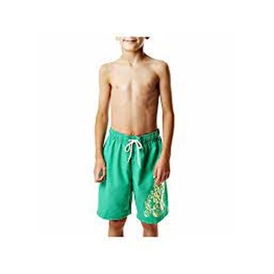 Speedo Graph Les 17 Wsht Jm Green/Green  Sp8078589367